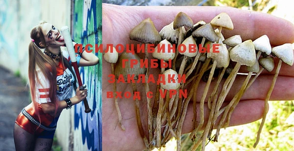 стафф Балахна