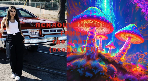 стафф Балахна