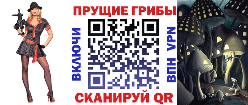 хочу наркоту  Кондрово  Псилоцибиновые грибы Magic Shrooms 