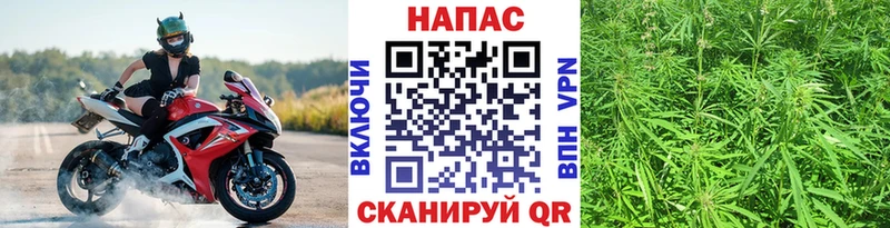 МАРИХУАНА THC 21%  наркошоп  Кондрово 